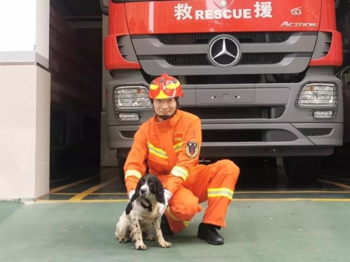 微信图片_20191009090850 微信图片_20191009090850